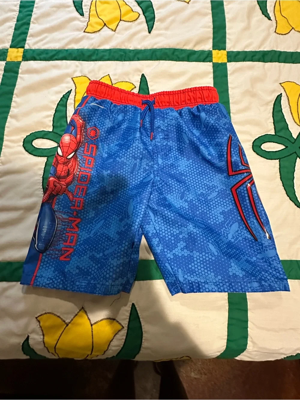 Spider-Man Red & Blue Rash Guard Set
